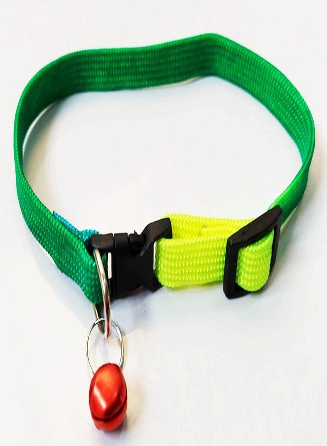 Pups&Pets Rainbow Dog Collar & Leash for Puppies, Small Dogs, Cat Collar with Bell (Adjustable Neck Size : 7-12nch) Dog Head Collar Dogs, Cat Collar with Bell (Color May Vary). - Image 5